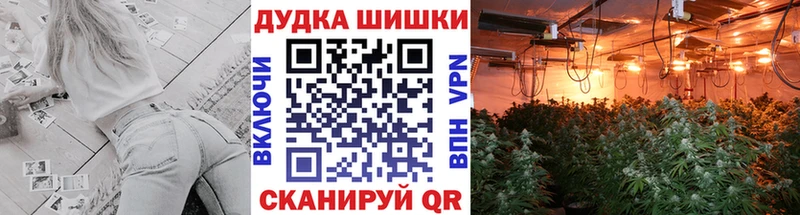 Наркошоп Кирс Cocaine  Канабис  blacksprut как зайти  ГАШИШ  АМФЕТАМИН  Меф мяу мяу  Alpha-PVP 